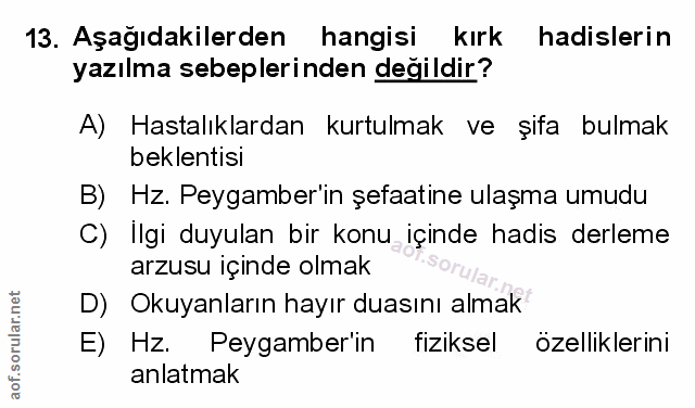 Soru 13