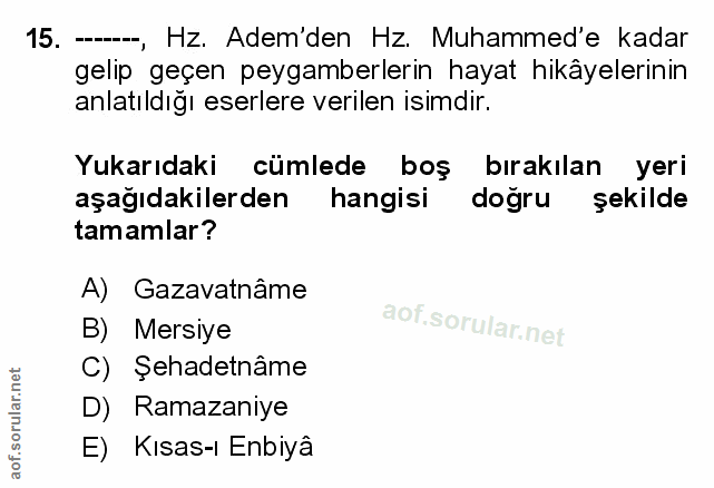 Soru 15
