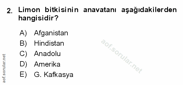 Soru 2