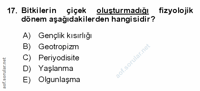 Soru 17