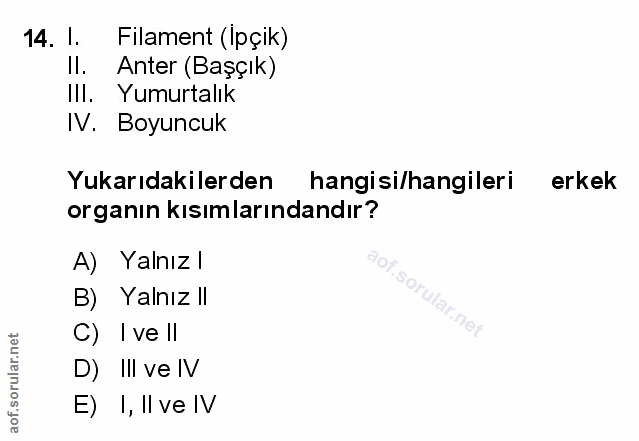 Soru 14