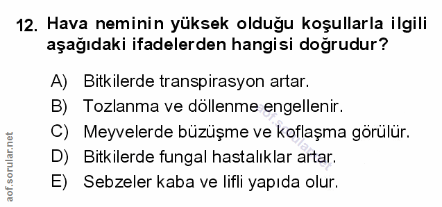 Soru 12