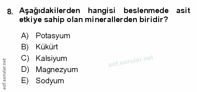 Soru 8