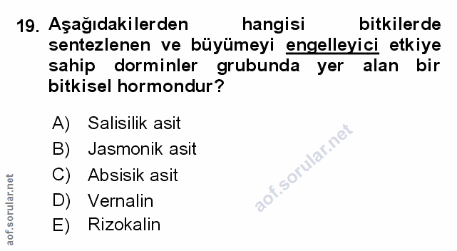 Soru 19