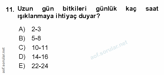 Soru 11