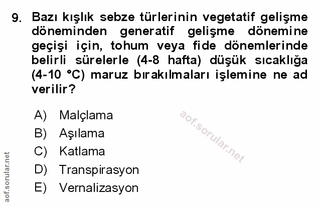 Soru 9