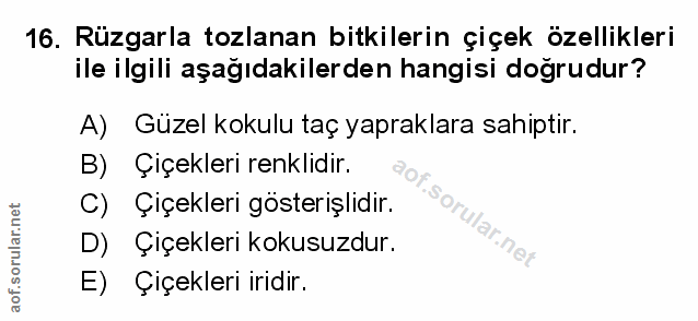 Soru 16