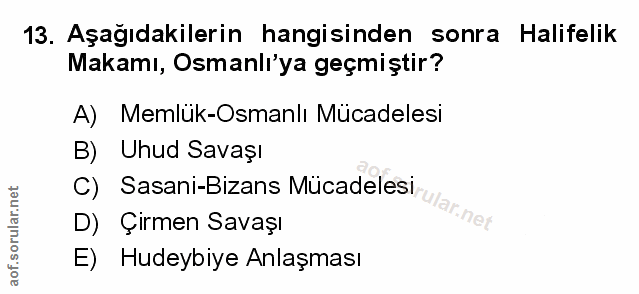 Soru 13