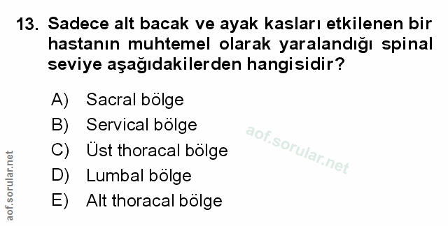 Soru 13