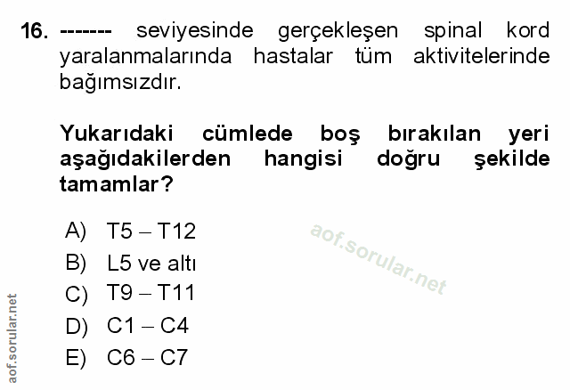 Soru 16