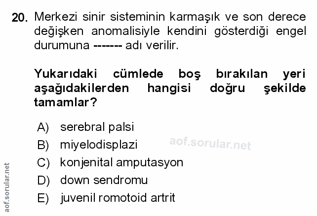 Soru 20