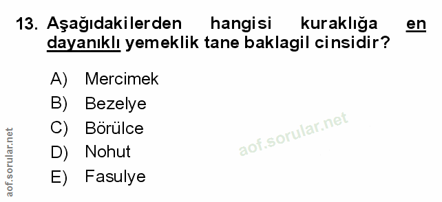 Soru 13
