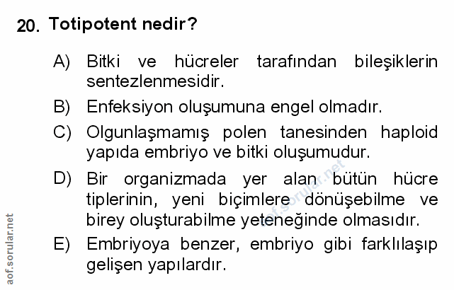 Soru 20