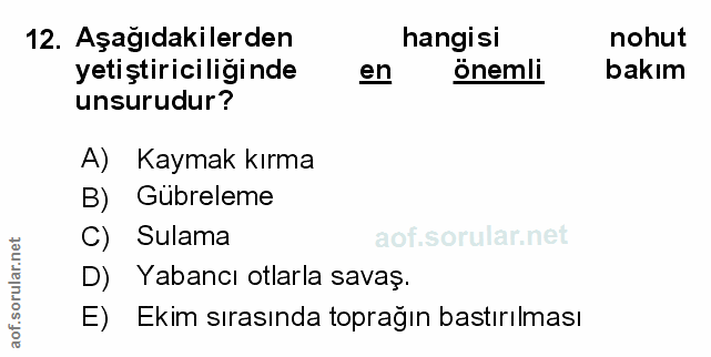 Soru 12