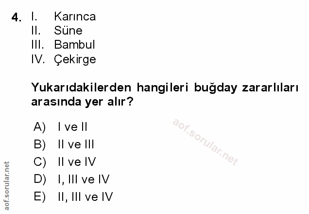 Soru 4