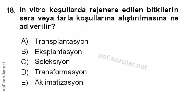 Soru 18