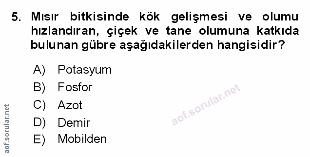 Soru 5