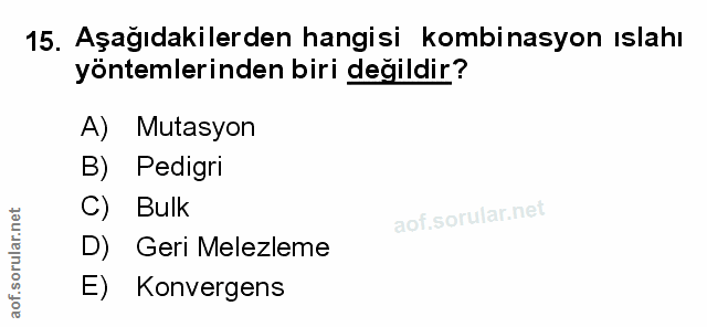 Soru 15