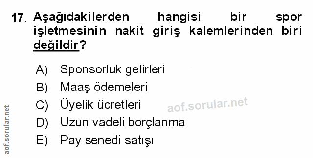Soru 17