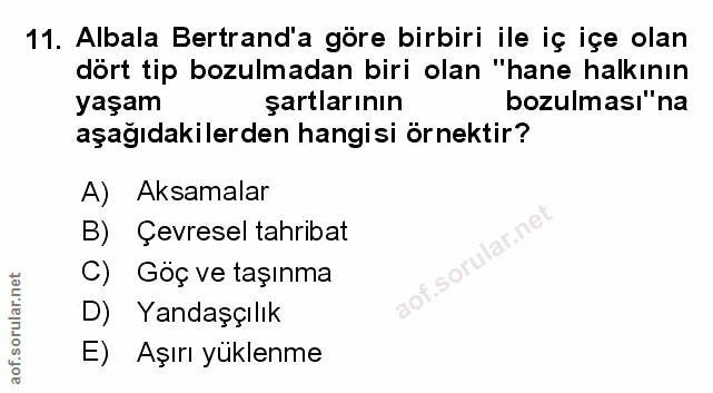Soru 11