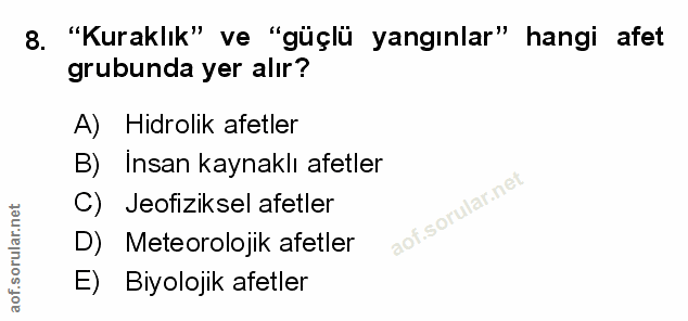 Soru 8