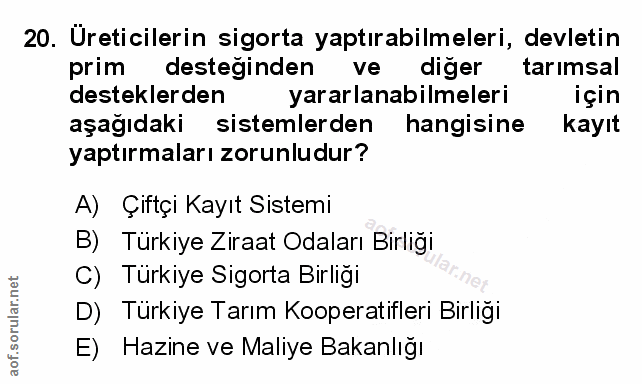 Soru 20
