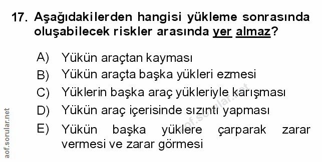 Soru 17
