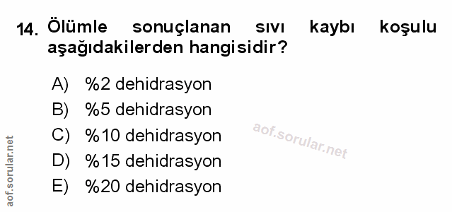 Soru 14