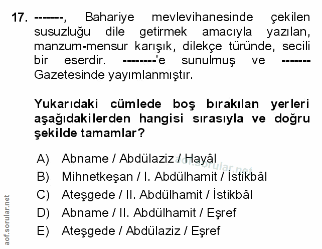 Soru 17