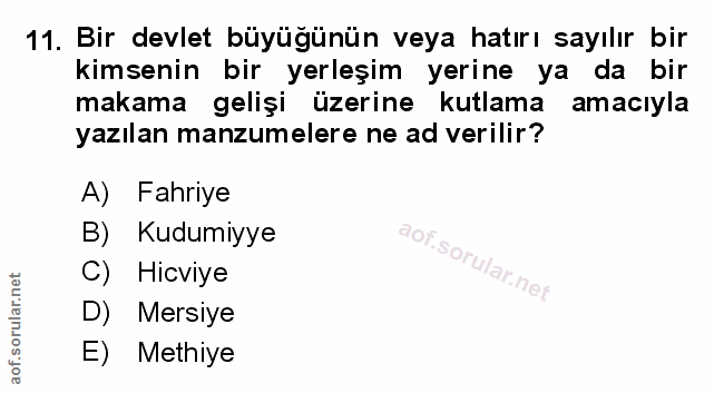 Soru 11