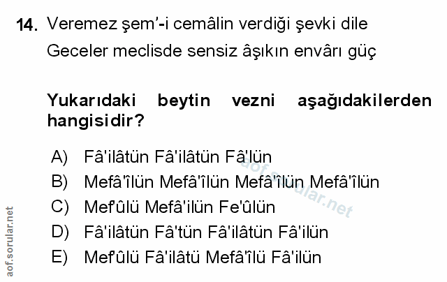 Soru 14