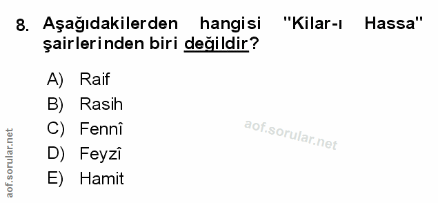 Soru 8