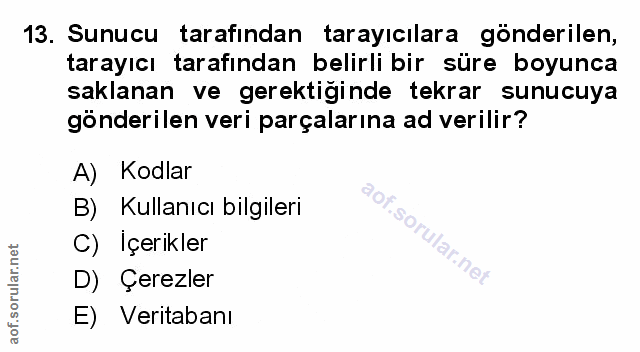 Soru 13