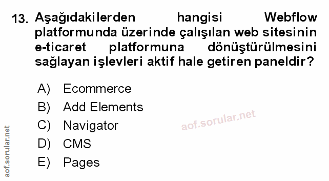 Soru 13
