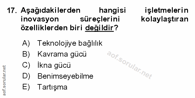 Soru 17