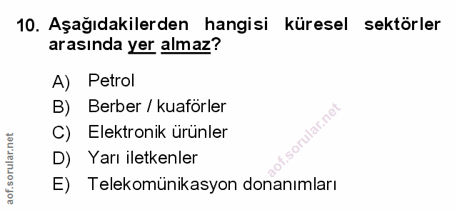 Soru 10