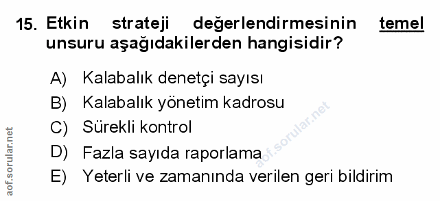 Soru 15