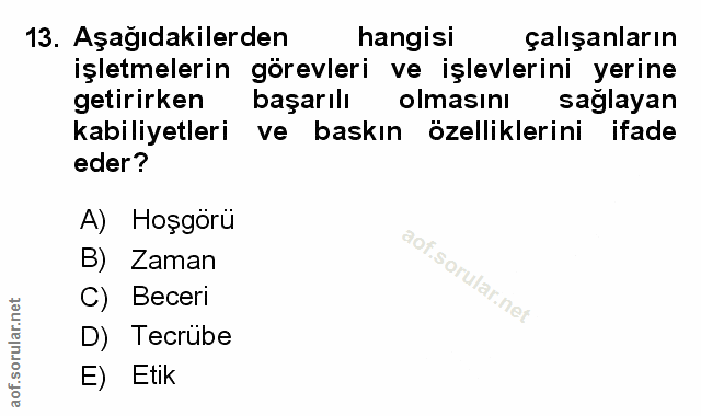 Soru 13