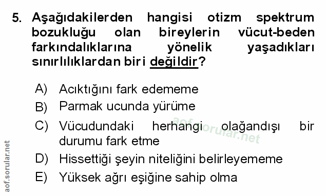 Soru 5