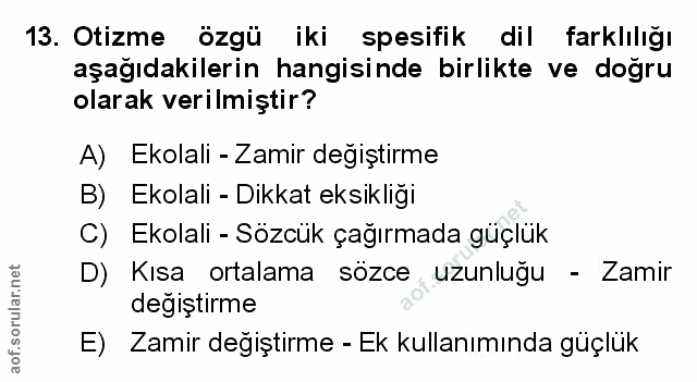 Soru 13