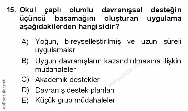 Soru 15