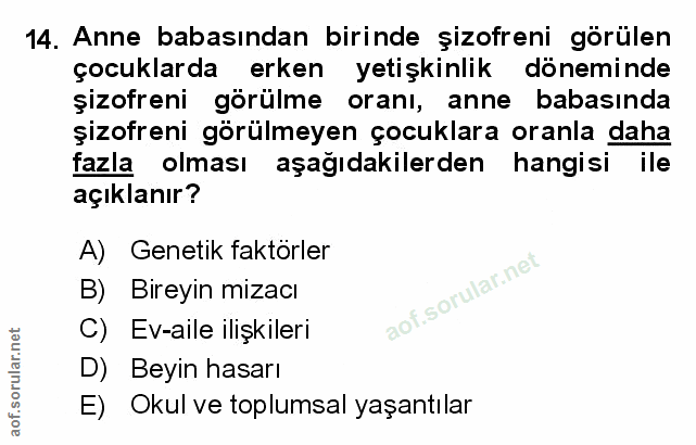 Soru 14