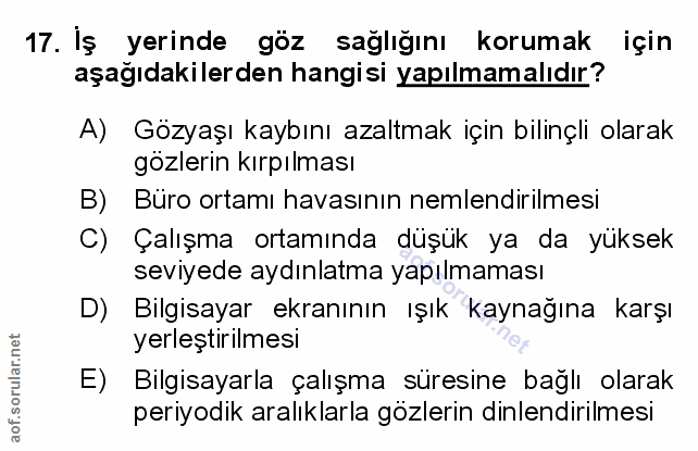 Soru 17