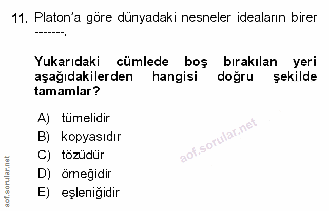 Soru 11