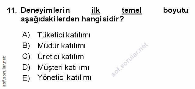 Soru 11