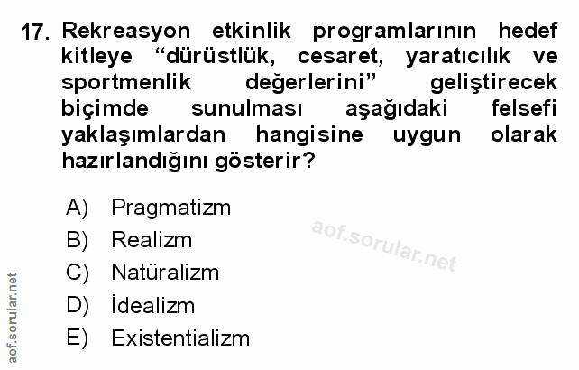 Soru 17