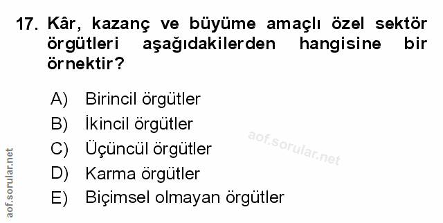 Soru 17