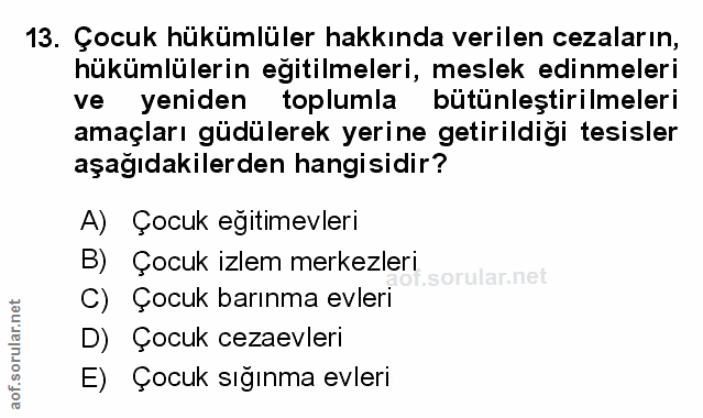 Soru 13