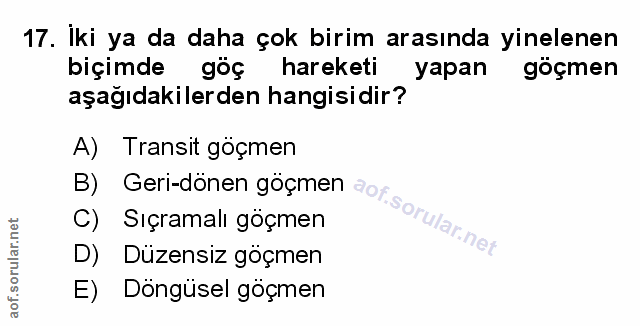 Soru 17