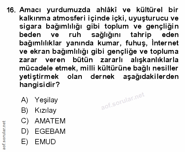 Soru 16